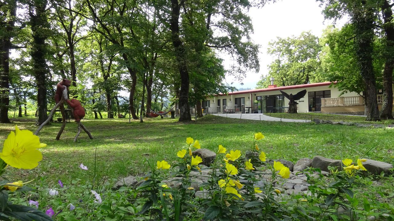 Kvareli Oaks Exteriér fotografie